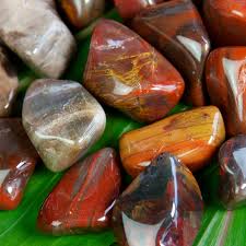 Buy Petrified wood gemstone online in USA