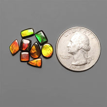 AAA Ammolite Cabochons Lot