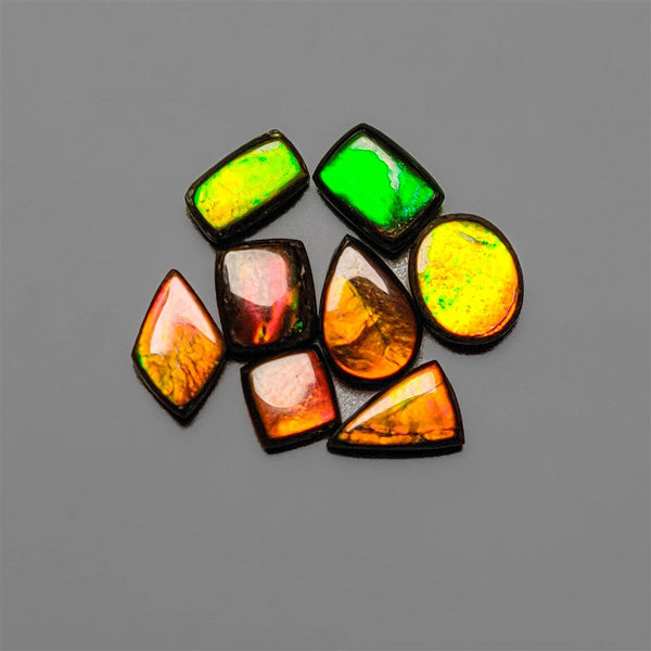 AAA Ammolite Cabochons Lot