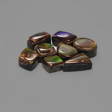 AAA Ammolite Cabochons Lot