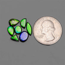 AAA Ammolite Cabochons Lot