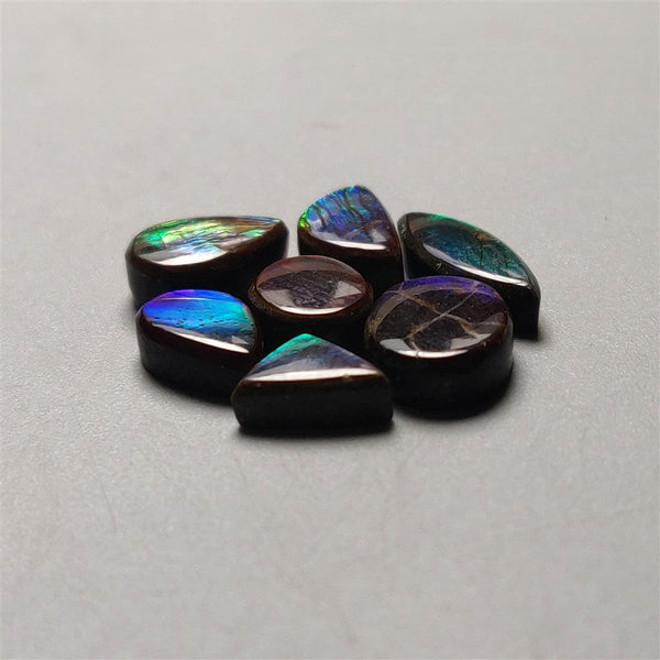 AAA Ammolite Cabochons Lot