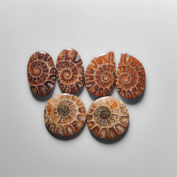 High Grade Ammonite Pairs Lot 2214