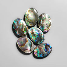 Abalone Shell Cabs Lot (Backed) 2260