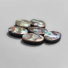 Abalone Shell Cabs Lot (Backed)