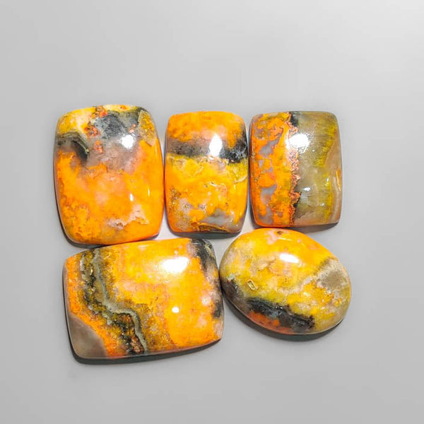 Bumble Bee Jasper Cabs Lot 2263