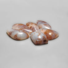 Scenic Russian Brown Dendritic Agate Cabs Lot