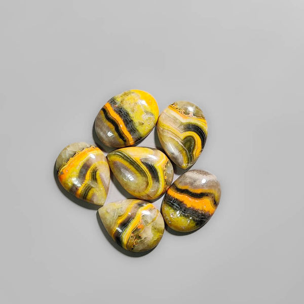 Bumble Bee Jasper Cabs Lot 2369