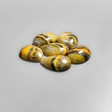 Bumble Bee Jasper Cabs Lot