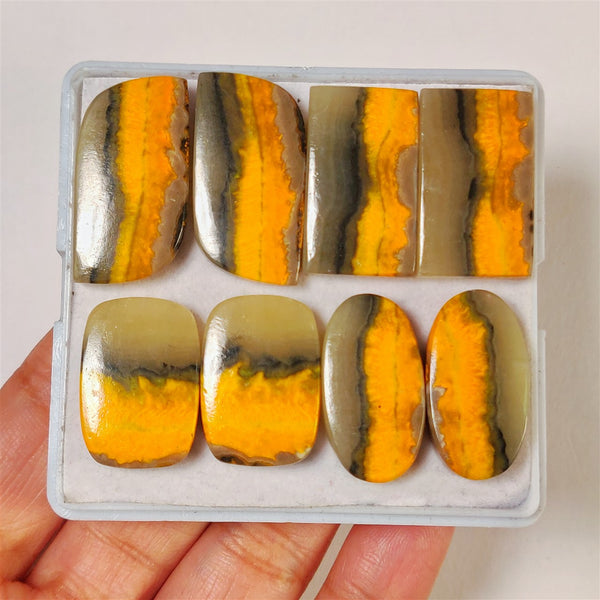 Bumble Bee Jasper Cabs Lot