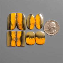 Bumble Bee Jasper Cabochons Lot