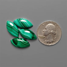 Calibrated Malachite Cabochons Lot