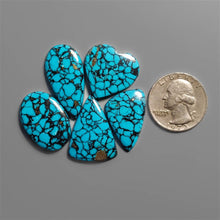 Compressed Spiderweb Turquoise Cabochons Lot