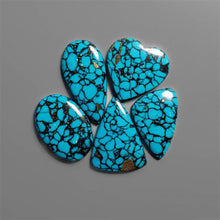 Compressed Spiderweb Turquoise Cabochons Lot