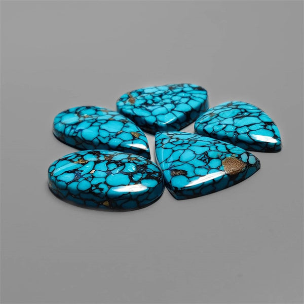 Compressed Spiderweb Turquoise Cabochons Lot