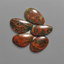 Spiderwoman Jasper Cabochons Lot