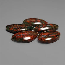 Spiderwoman Jasper Cabochons Lot