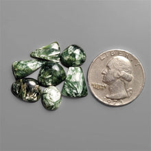 Seraphinites Cabochons Lot