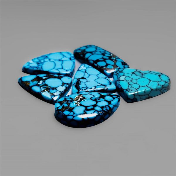 Compressed Spiderweb Turquoise Cabochons Lot