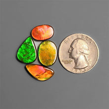 AAA Ammolite Cabochons Lot