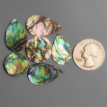 AAA paua Shell Cabochons Lot