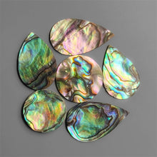 AAA paua Shell Cabochons Lot