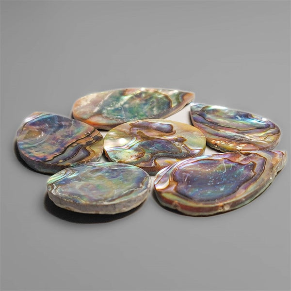 AAA paua Shell Cabochons Lot