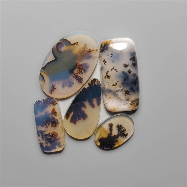 Scenic Dendritic Agate Cabochons Lot 