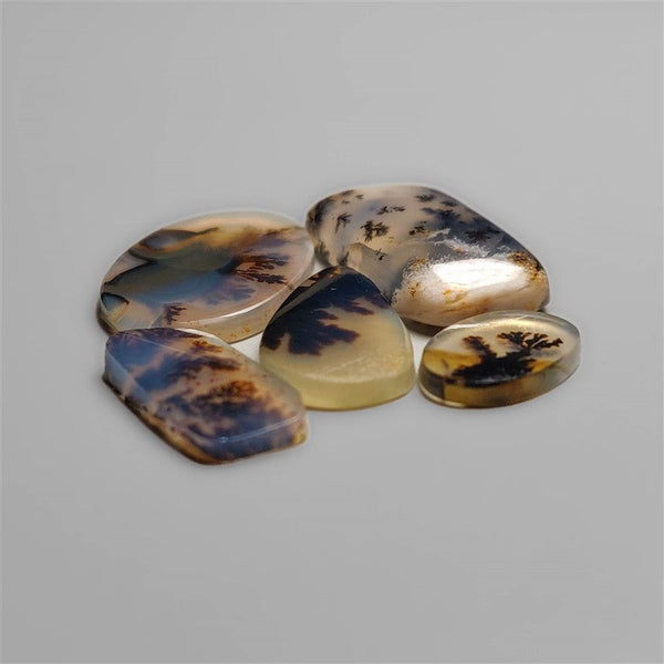 Scenic Dendritic Agate Cabochons Lot