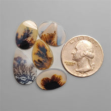 Scenic Agates Cabochons Lot