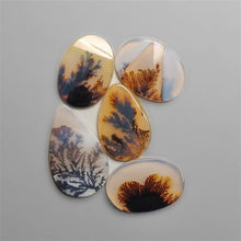 Scenic Agates Cabochons Lot