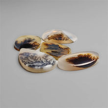 Scenic Agates Cabochons Lot