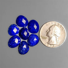 Rose Cut Lapis Lazuli Lot