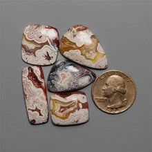 Crazy Lace Agate Cabochons Lot