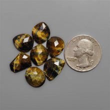 Rose Cut Tiger Eye Lot