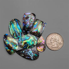 Abalone Shell Cabochons Lot