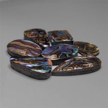 Abalone Shell Cabochons Lot