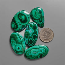 Rare pattern Malachite Cabochons Lot