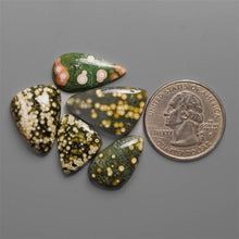 Obicular Ocean Jasper Cabochons Lot