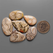 Crazy Lace Agate Cabochons Lot