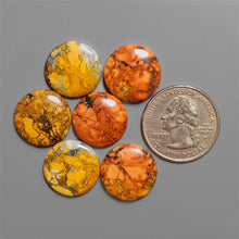 Maligano Jasper Cabochons Lot