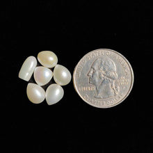 Fresh Water Pearls Lot