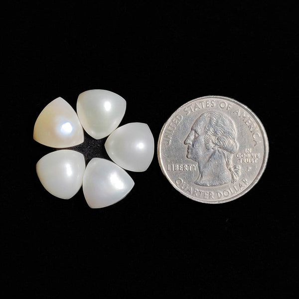 Fresh Water Pearls Lot