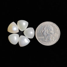 Fresh Water Pearls Lot