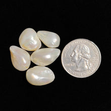 Freeform Fresh Water Pearls Lot (Drilled)