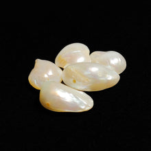 Freeform Fresh Water Pearls Lot (Drilled)