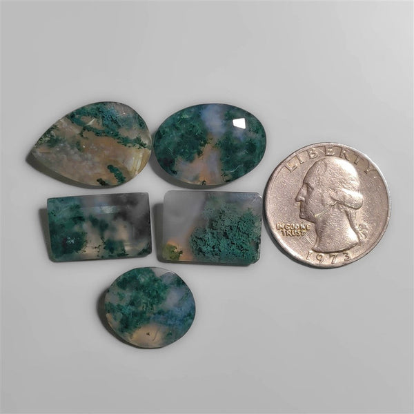 Faceted Moss Agate Lot