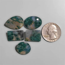 Faceted Moss Agate Lot