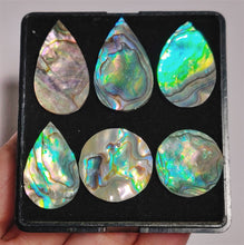 AAA Paua Shell Cabs Lot