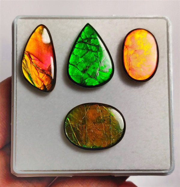 High Quality Ammolite Cabs